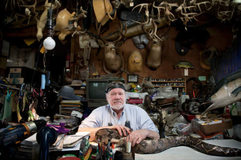 Posed portrait of a taxidermist in his workshop